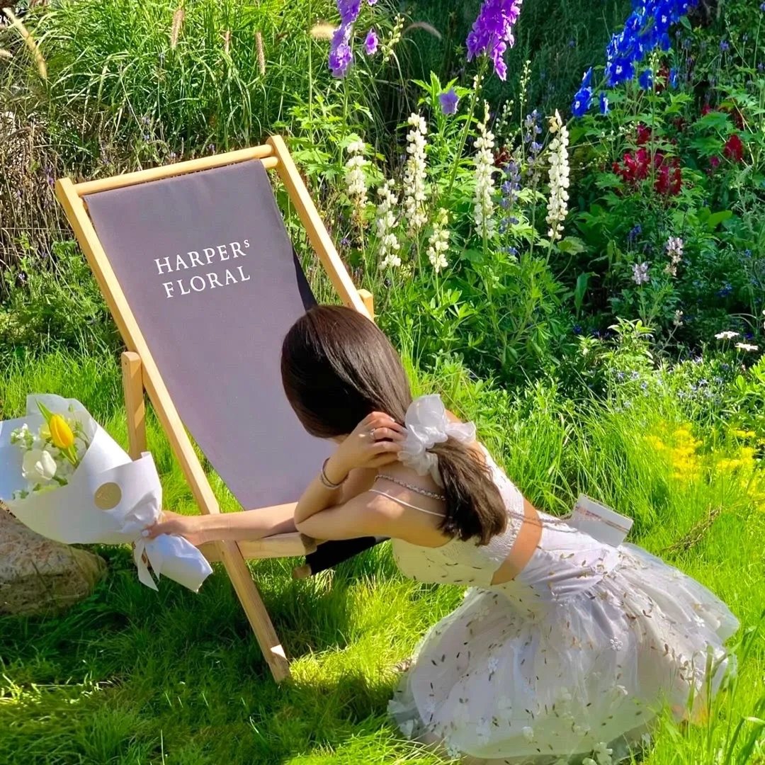 赛尔号第二季之圣者逆袭